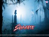 Shaapit (2010)